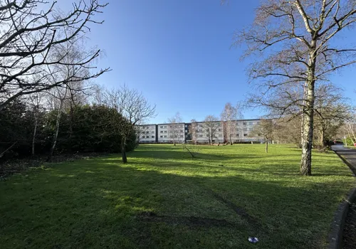 IMG 1601